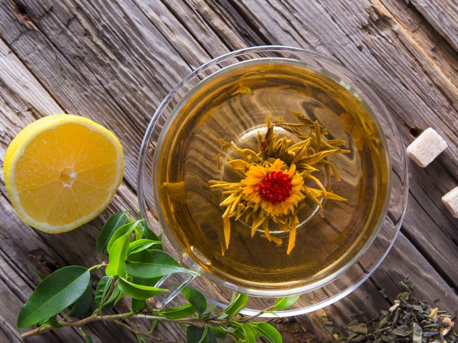 Macro whole lemon balm