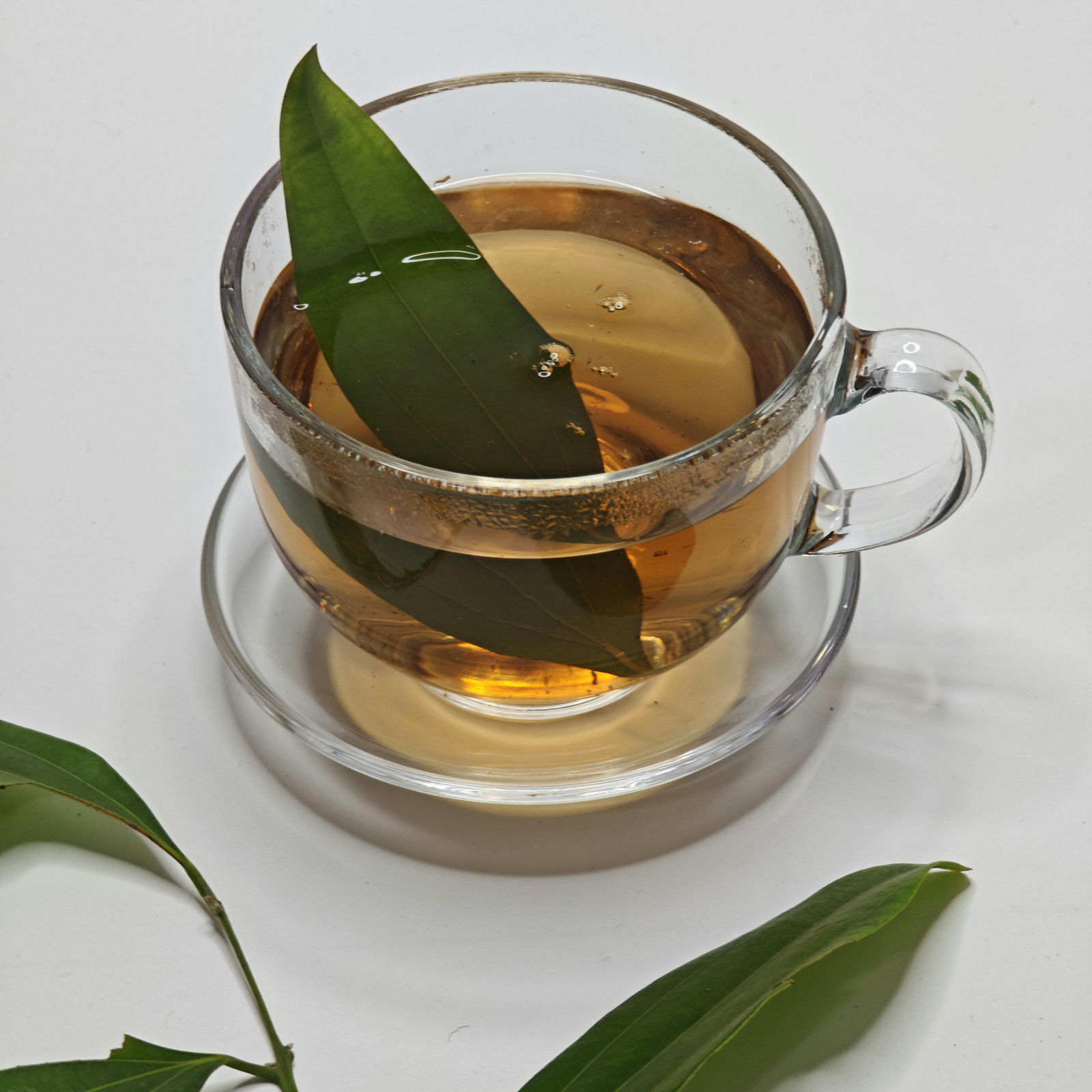 Macro whole burdock root