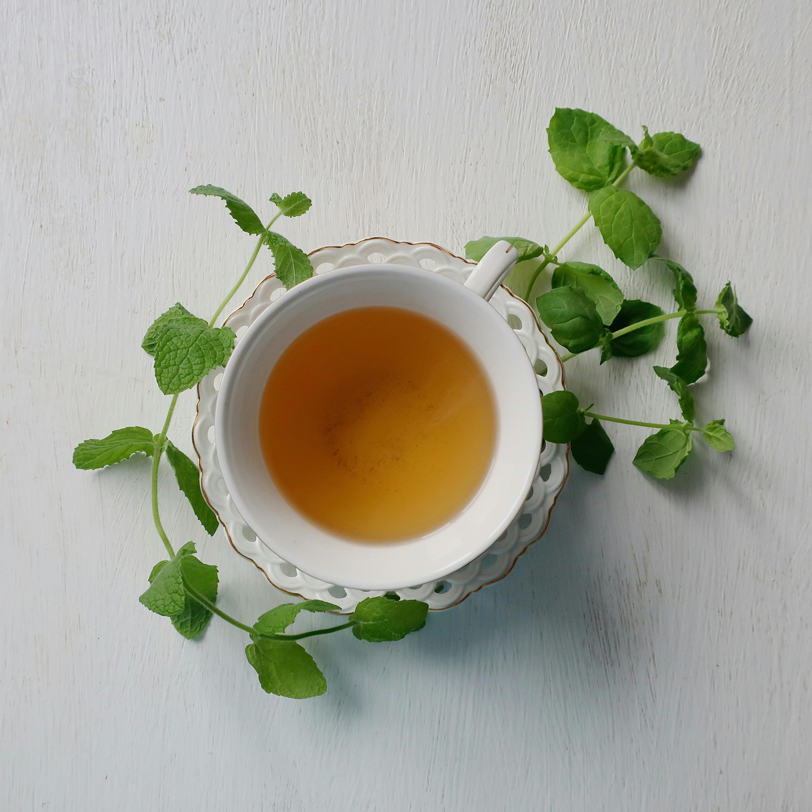 Macro whole red clover